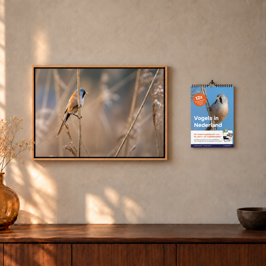 Cadeaubundel: baardmancanvas & kalender