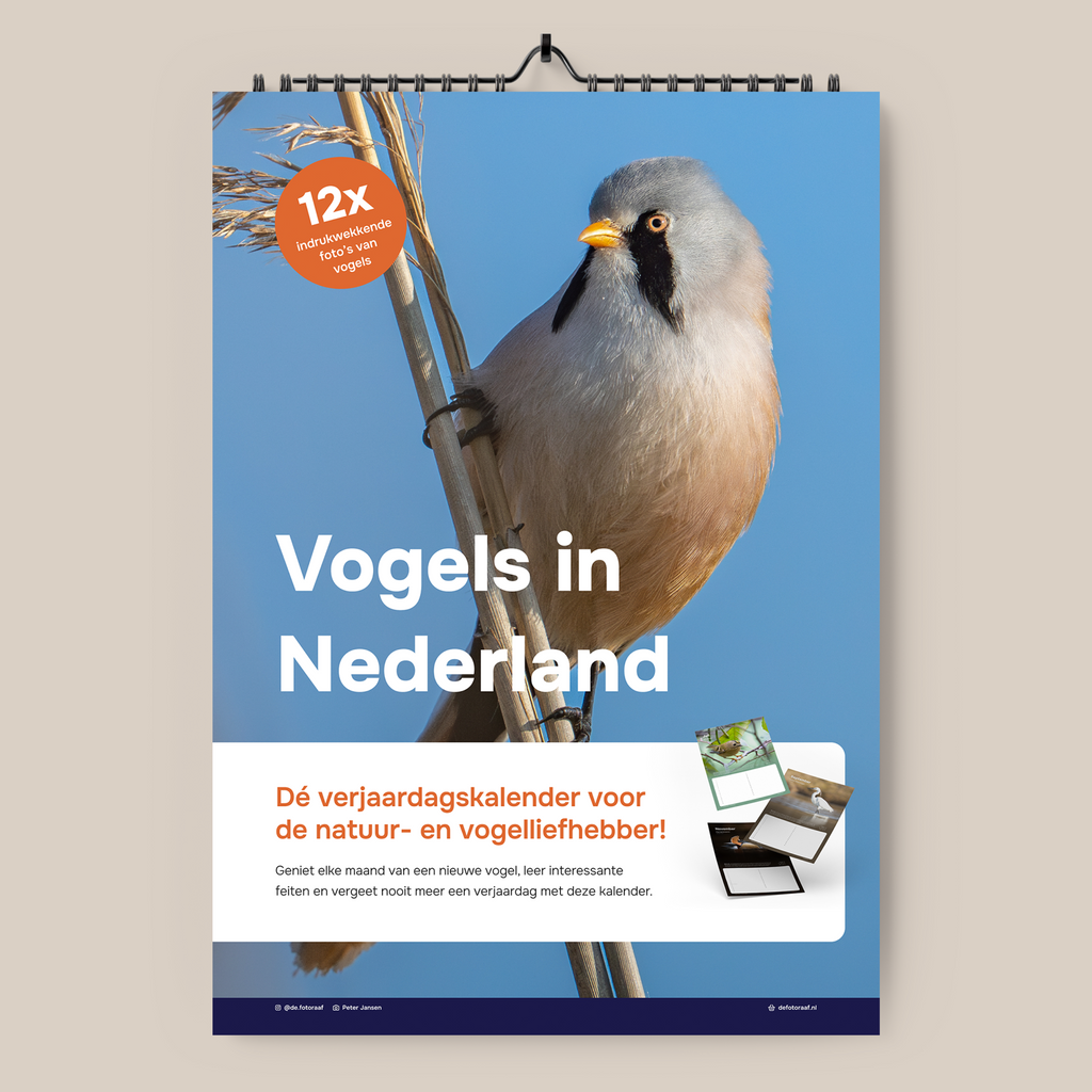 Vogels in Nederland #2