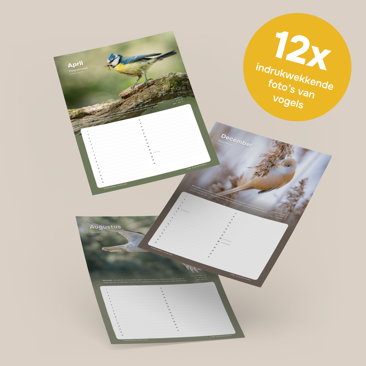 Voorbeeldpagina uit verjaardagskalender ‘Vogels in Nederland – Staartmees’