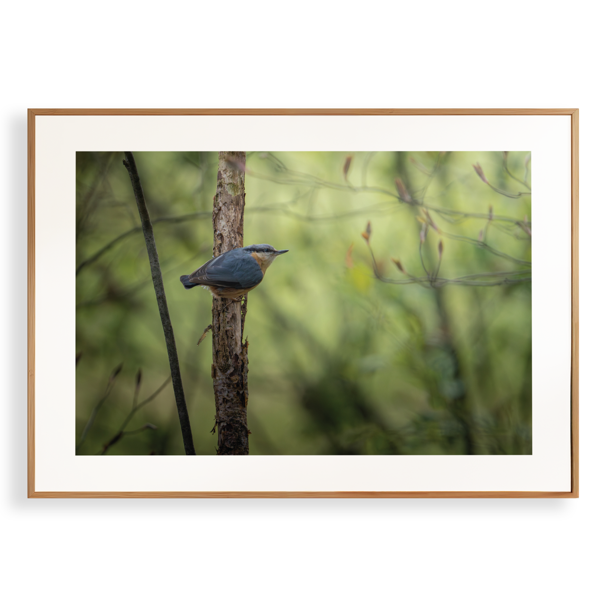 Print 'Boomklever in actie'