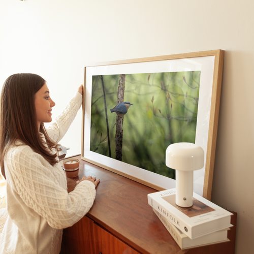 Natuurprint ‘Boomklever in actie’ als wanddecoratie in een interieur
