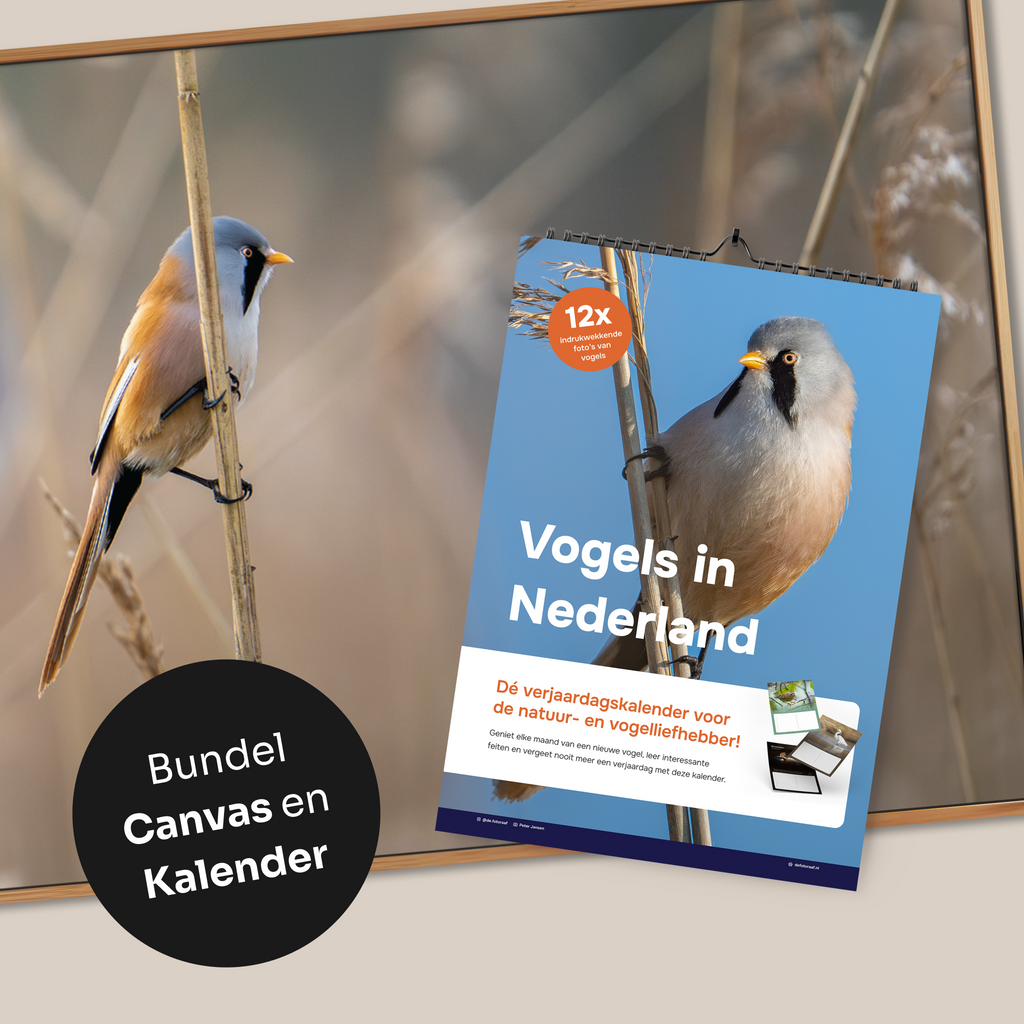 Cadeau Bundel: Canvas & Kalender