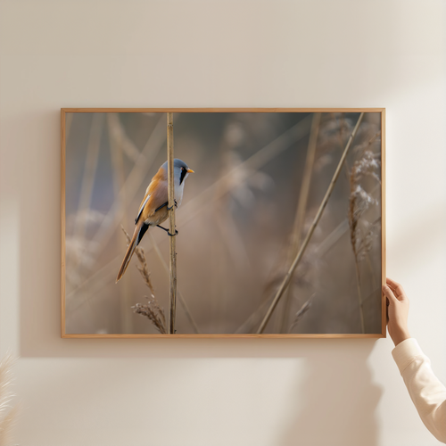 Cadeau Bundel: Canvas & Kalender