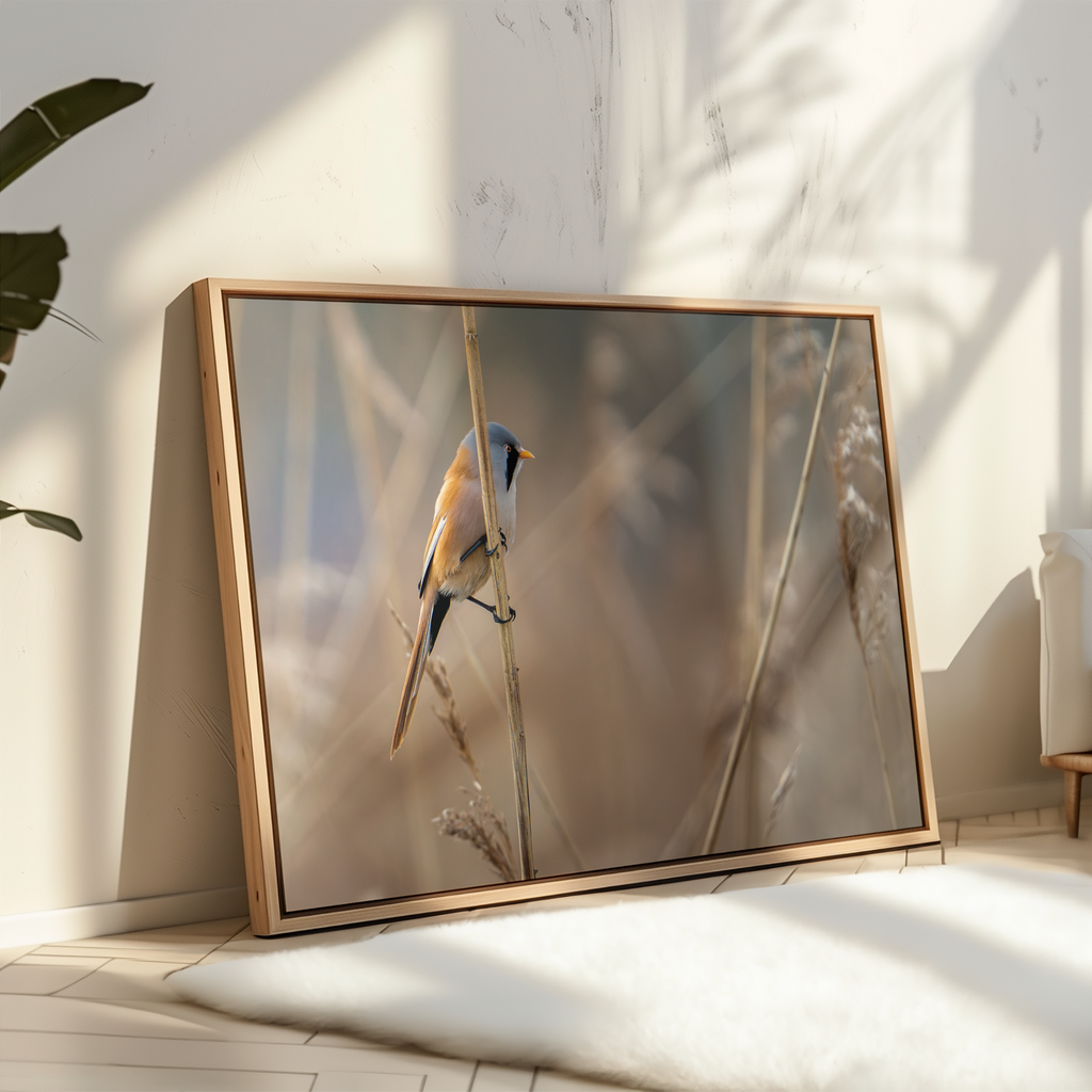 Cadeau Bundel: Canvas & Kalender