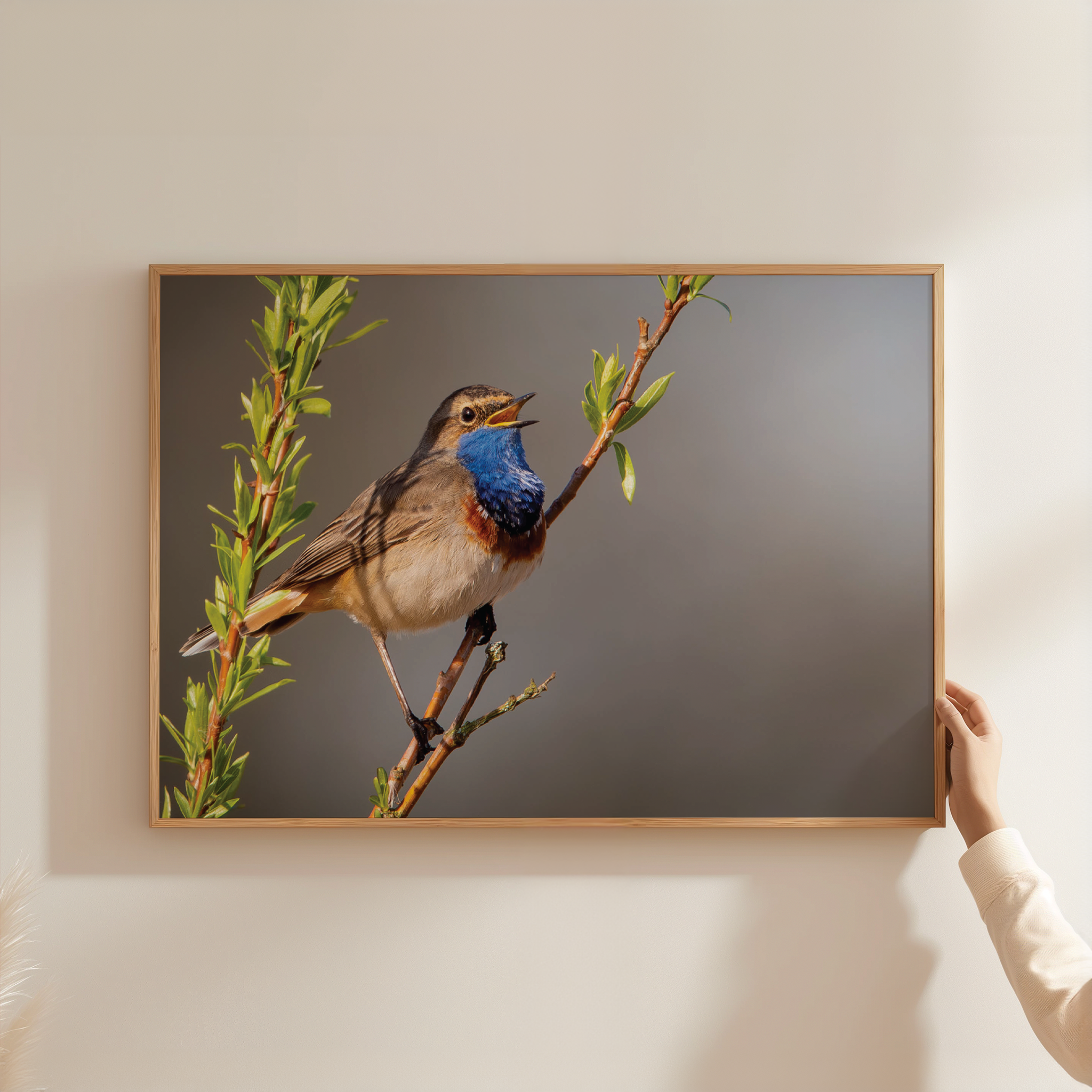 Canvas 'Zingende Blauwborst'