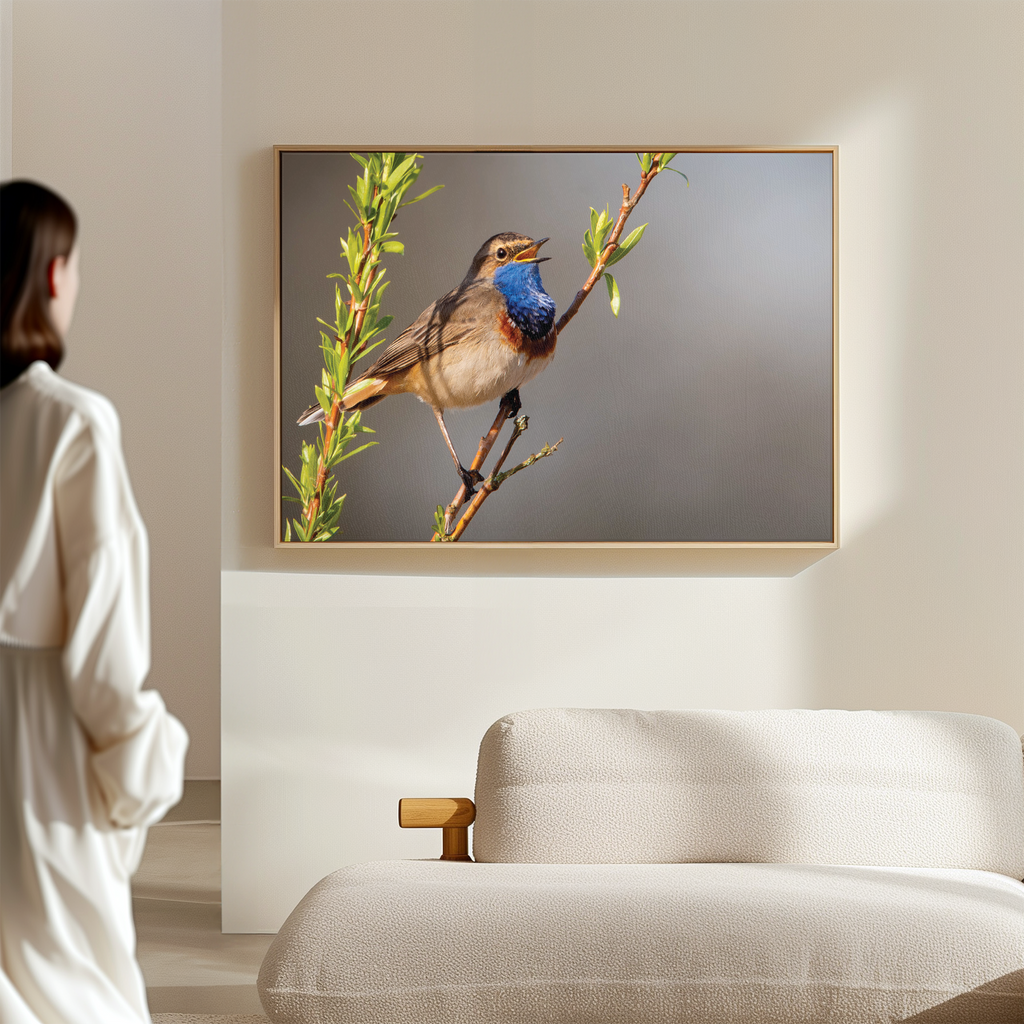 Canvas 'Zingende Blauwborst'