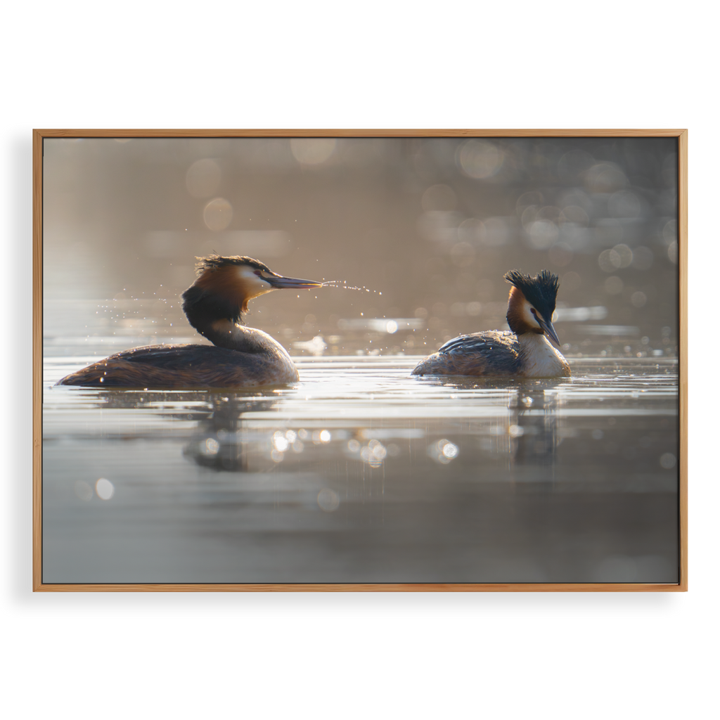 Canvas 'Fuuten in harmonie'