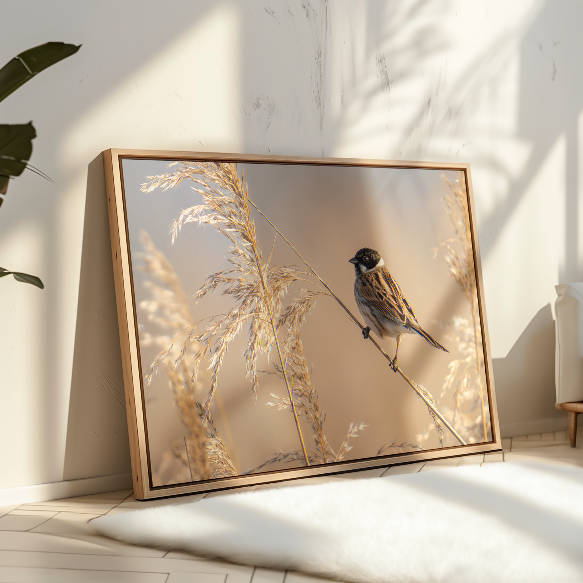 Canvas 'Rietgors boven het rietveld'