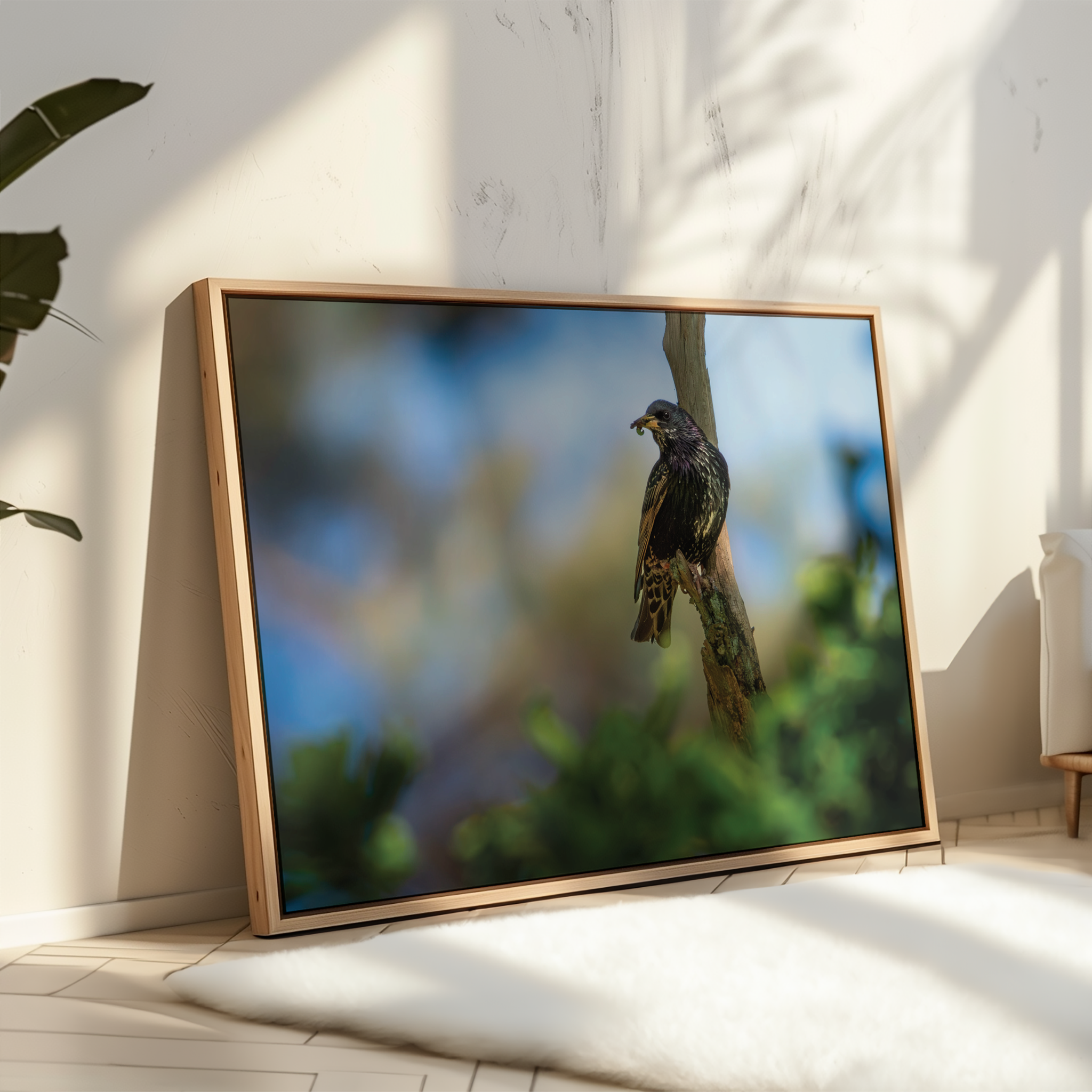 Canvas 'Spreeuw eet zijn maaltijd'