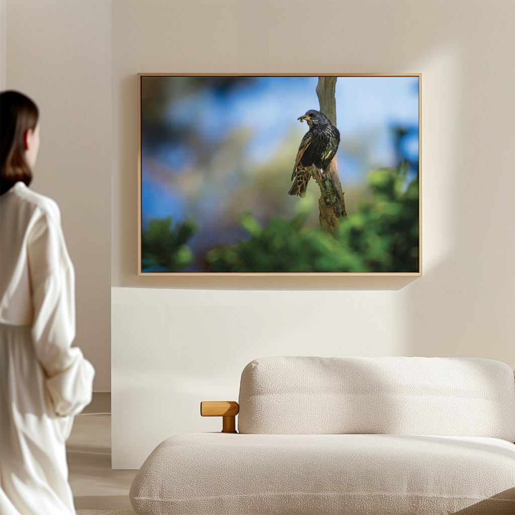 Canvas 'Spreeuw eet zijn maaltijd'