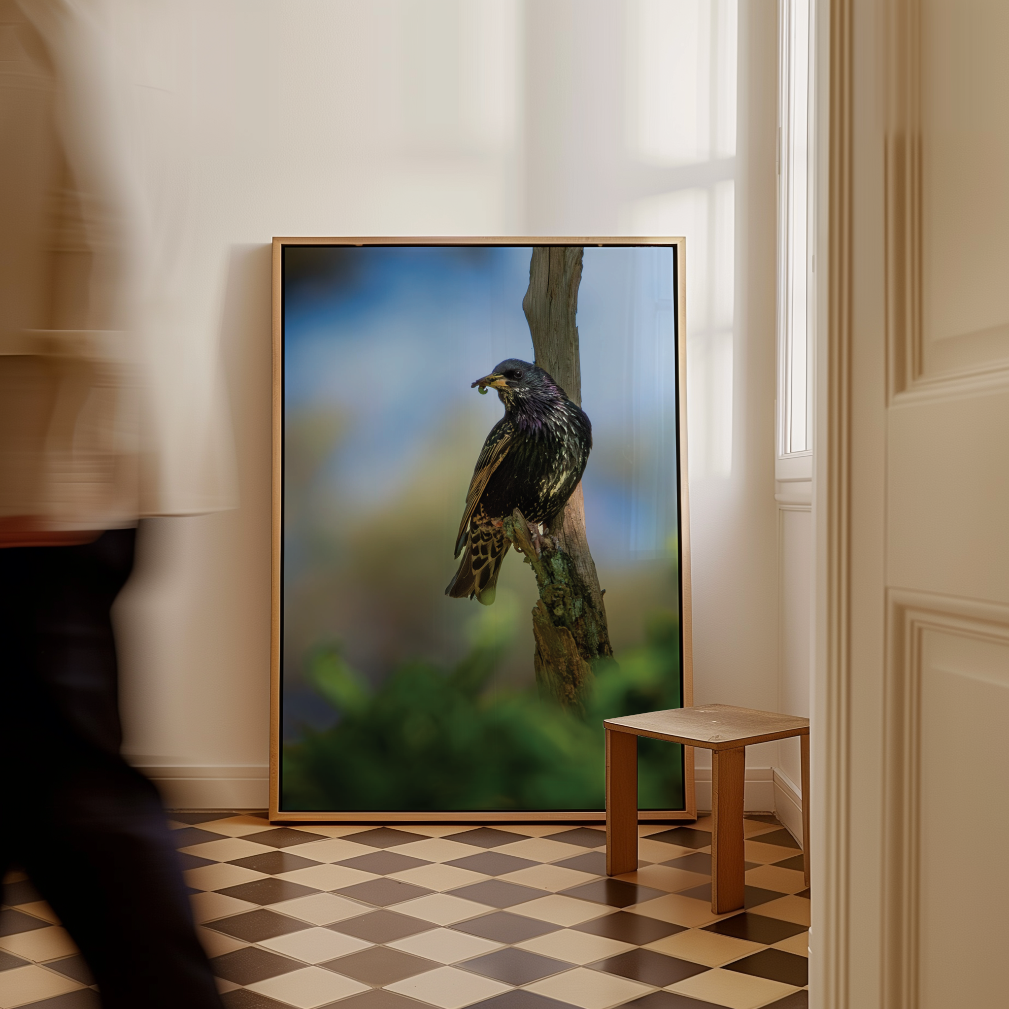 Canvas 'Spreeuw eet zijn maaltijd - portret'