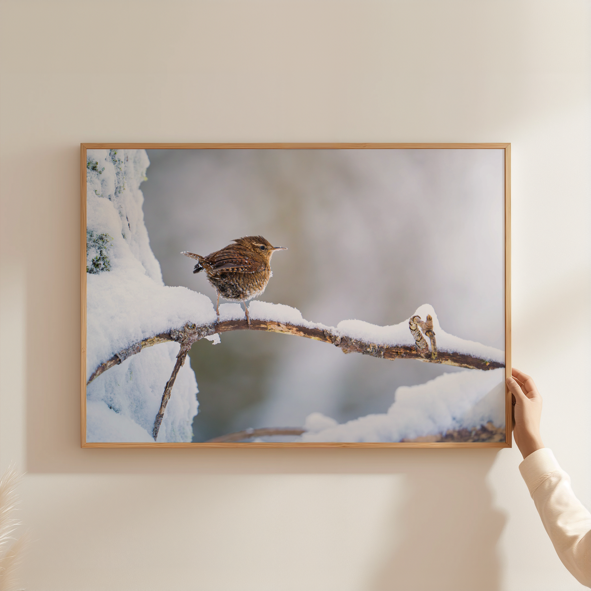 Canvas 'Winterkoninkje in de sneeuw'
