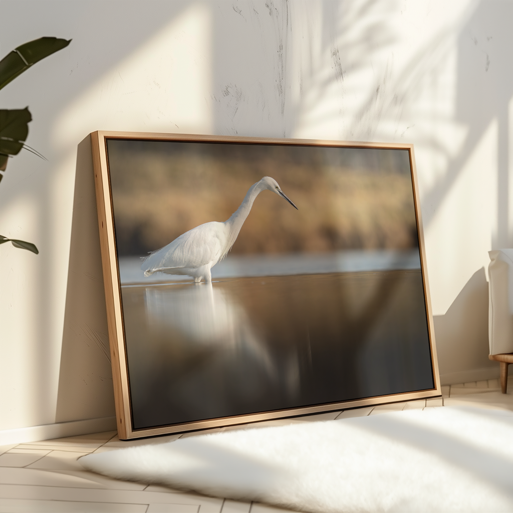 Canvas 'Kleine zilverreiger vangt vis'