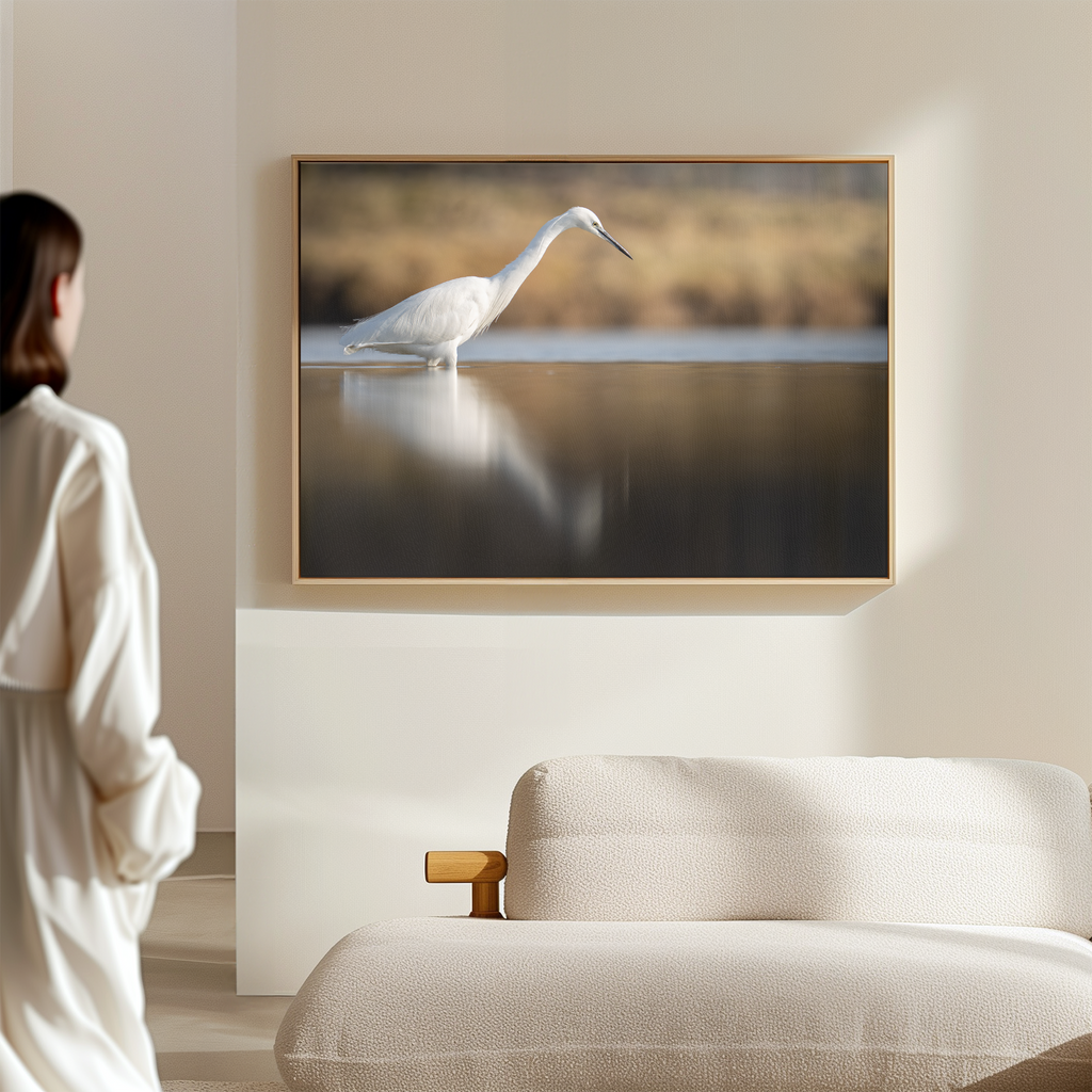 Canvas 'Kleine zilverreiger vangt vis'