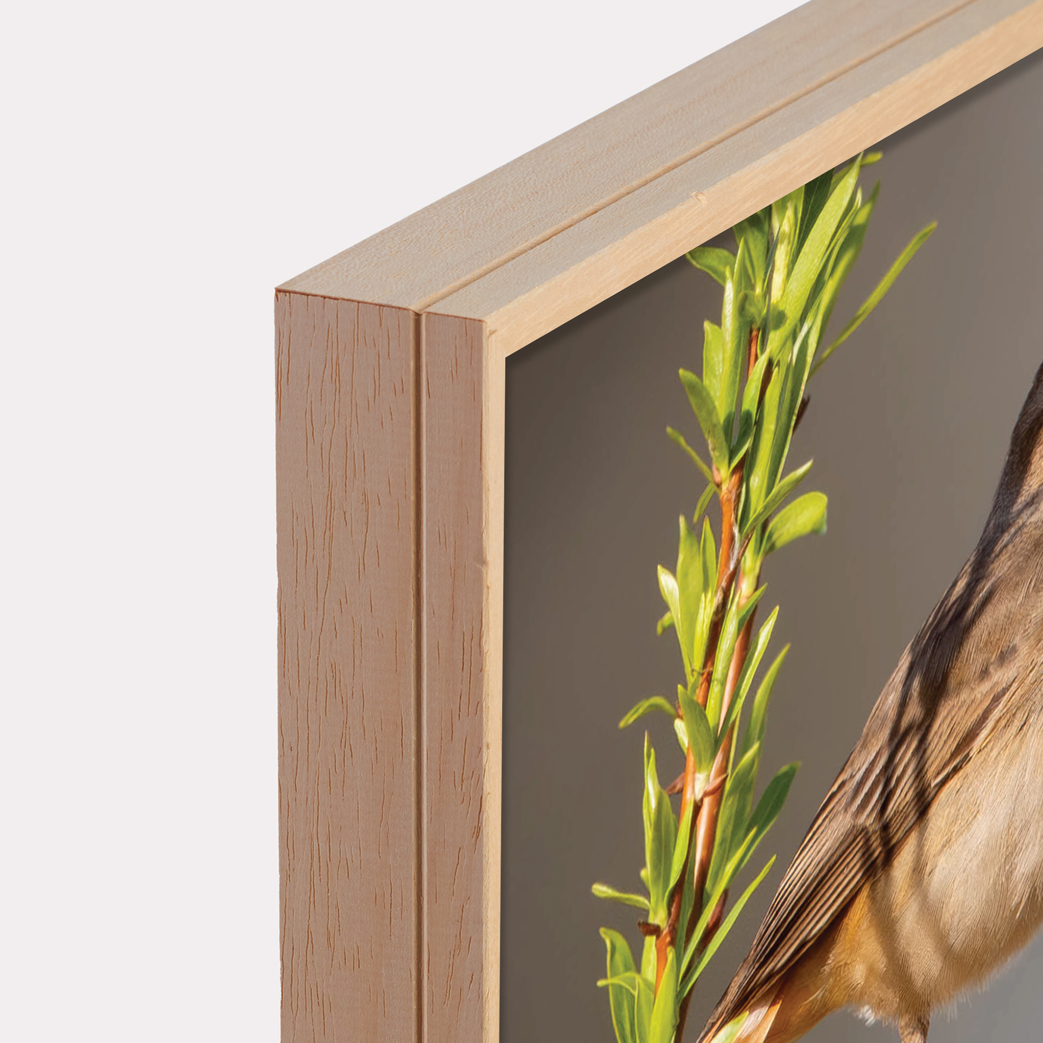 Canvas 'Zingende Blauwborst'