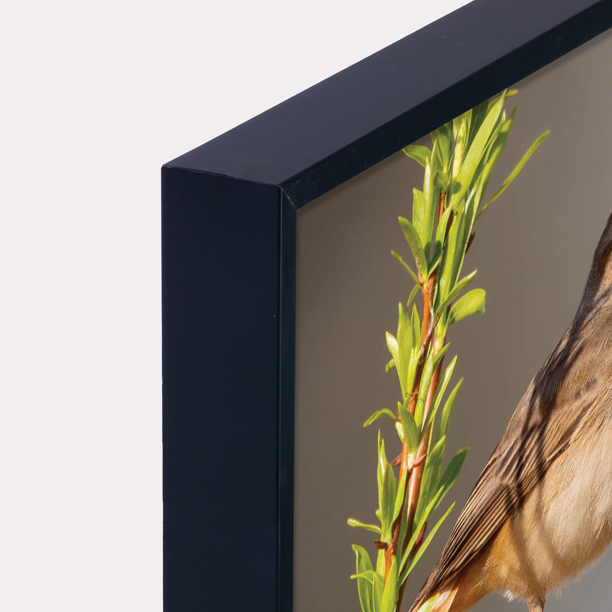 Canvas 'Zingende Blauwborst'