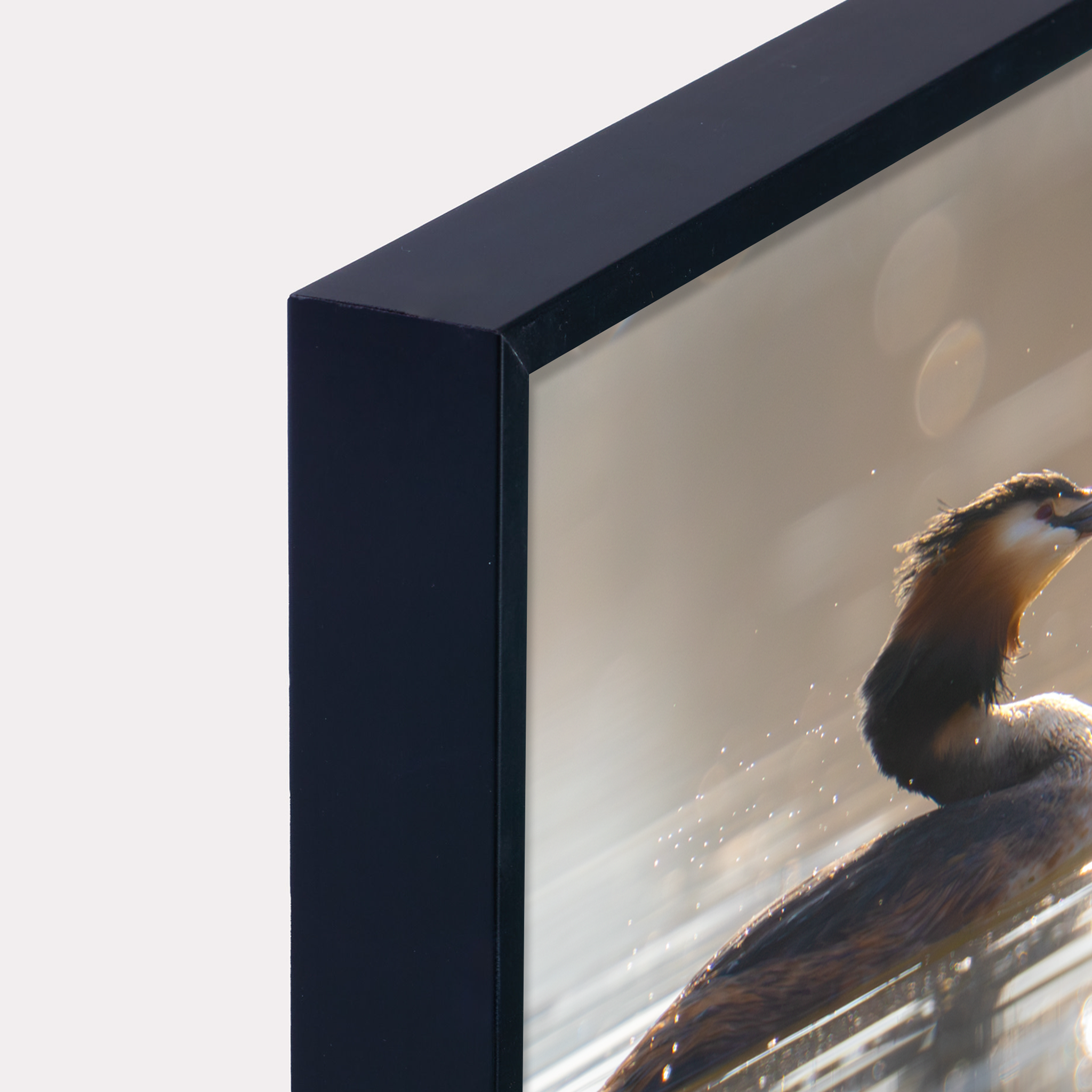 Canvas 'Fuuten in harmonie'