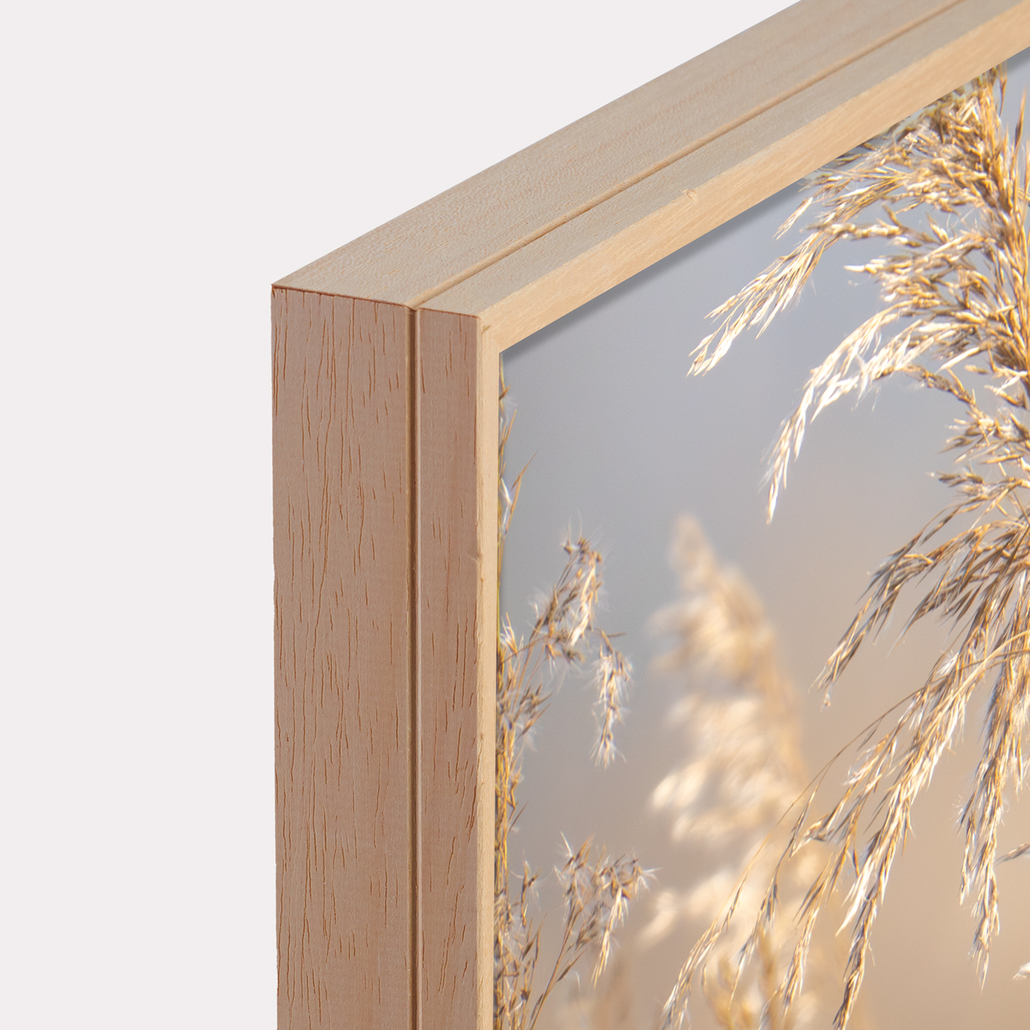 Canvas 'Rietgors boven het rietveld'