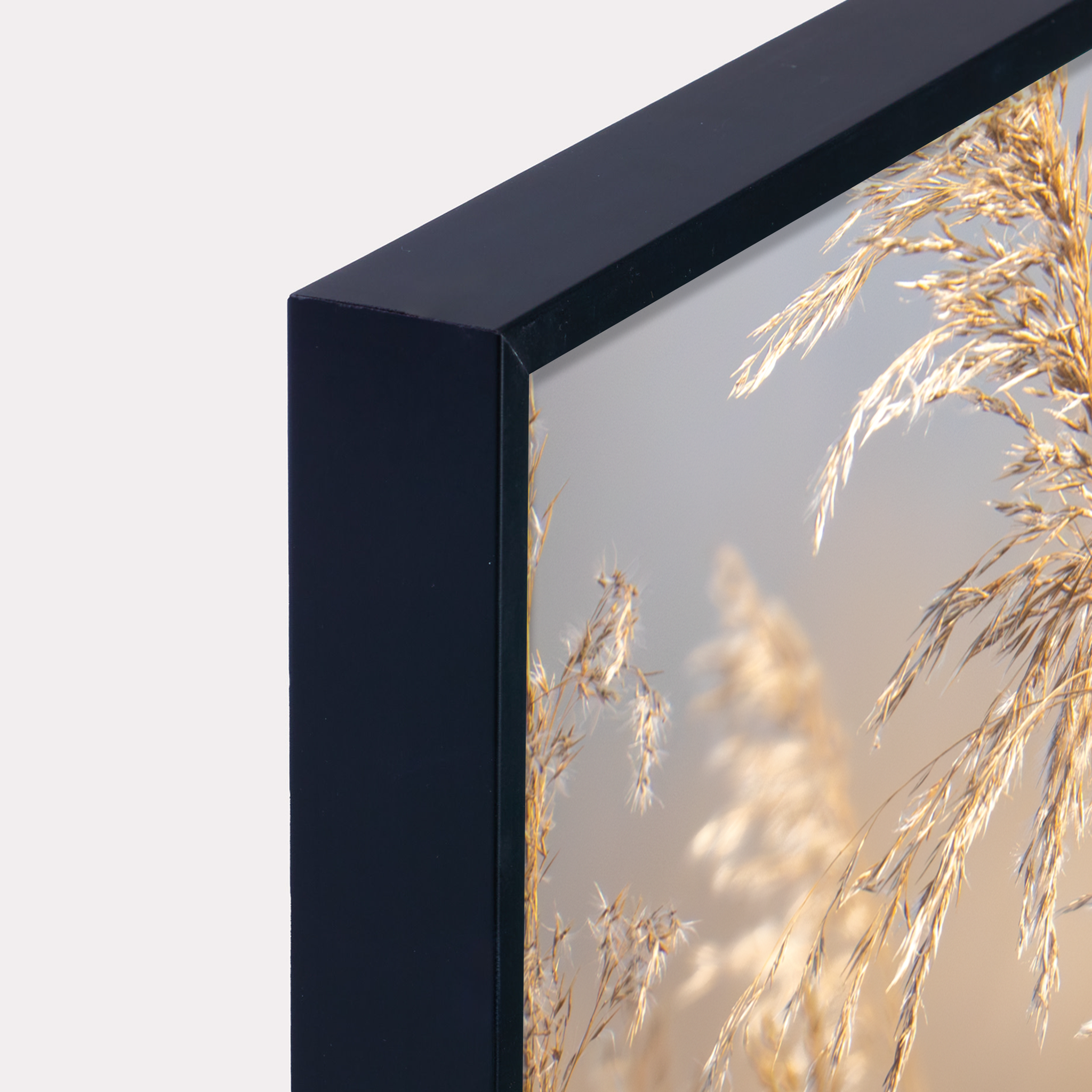 Canvas 'Rietgors boven het rietveld'