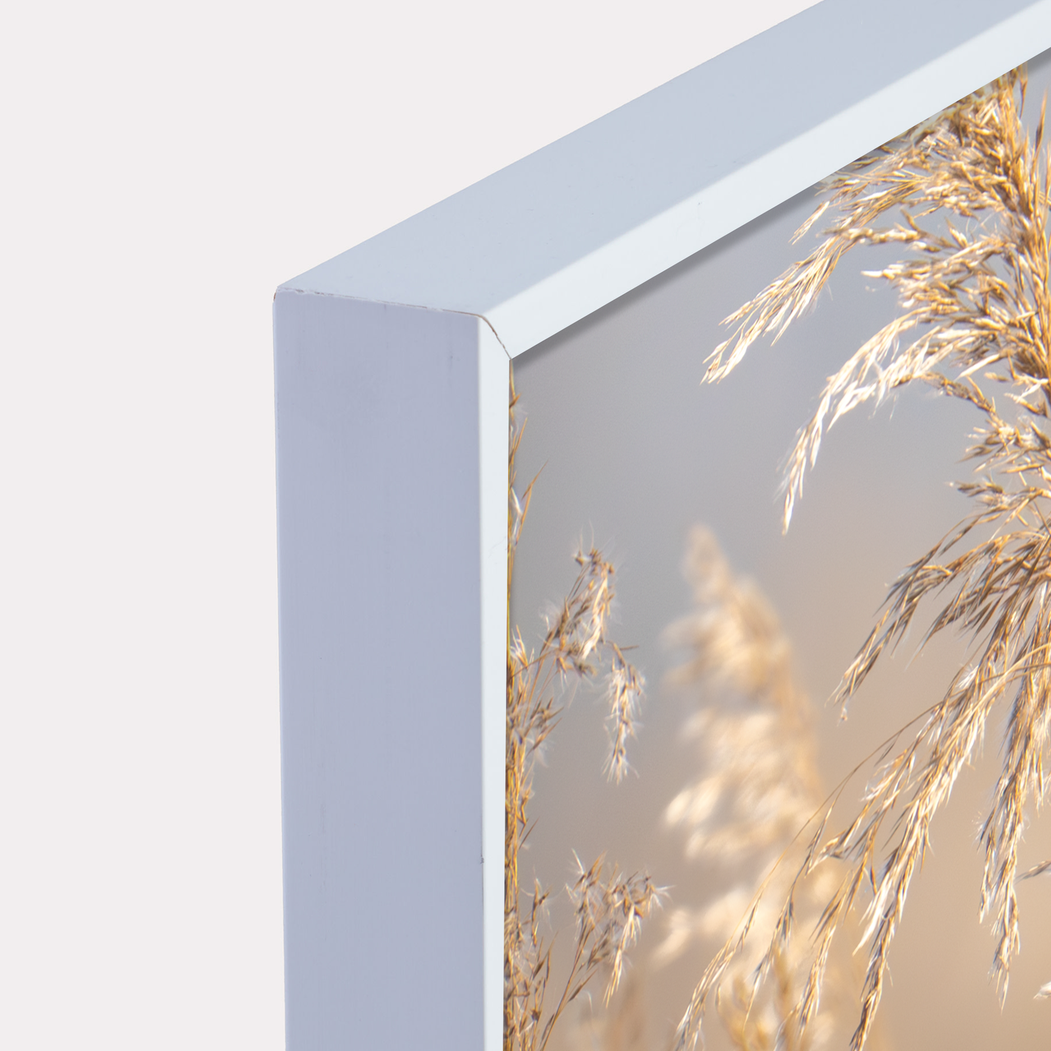 Canvas 'Rietgors boven het rietveld'