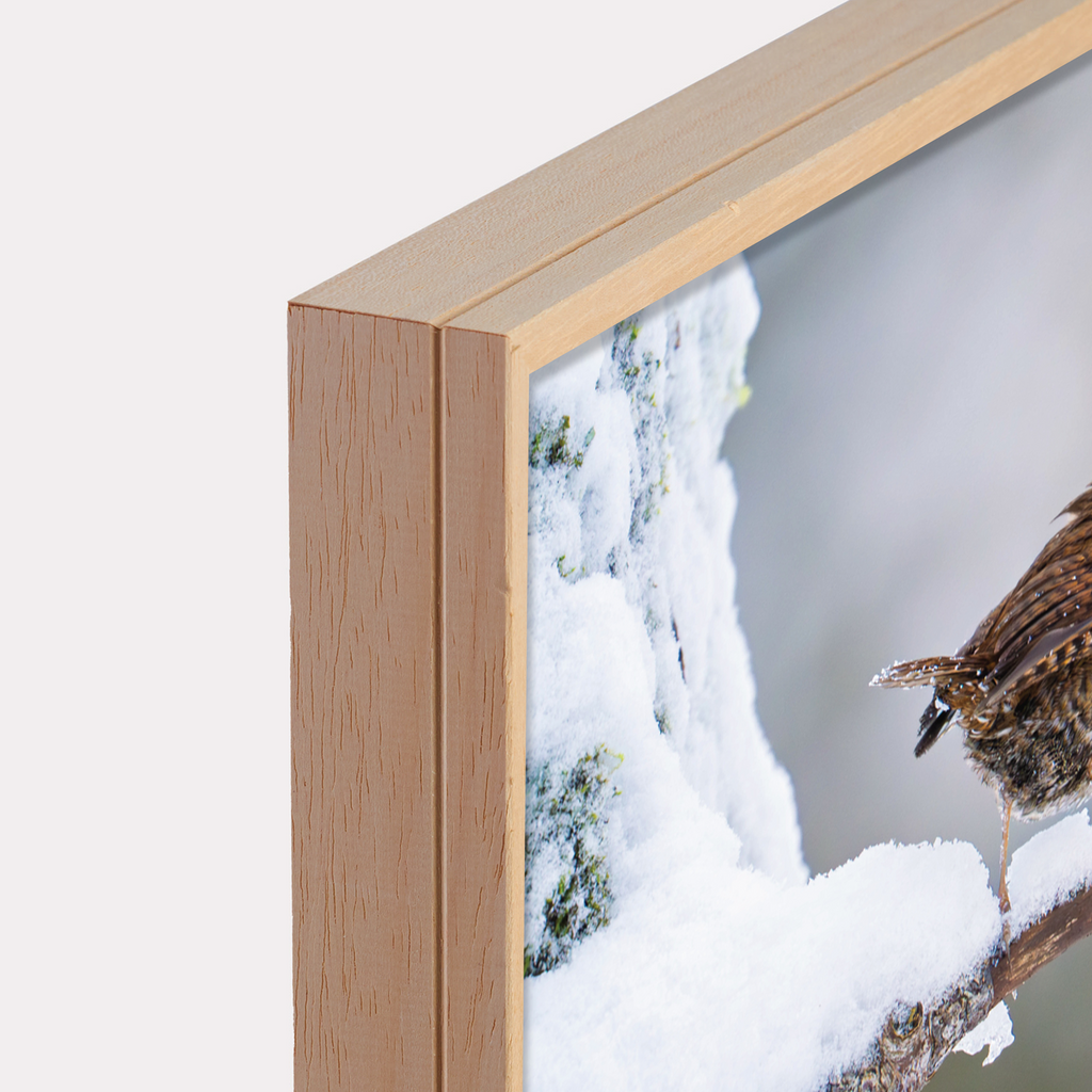 Canvas 'Winterkoninkje in de sneeuw'