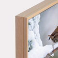 Canvas 'Winterkoninkje in de sneeuw'