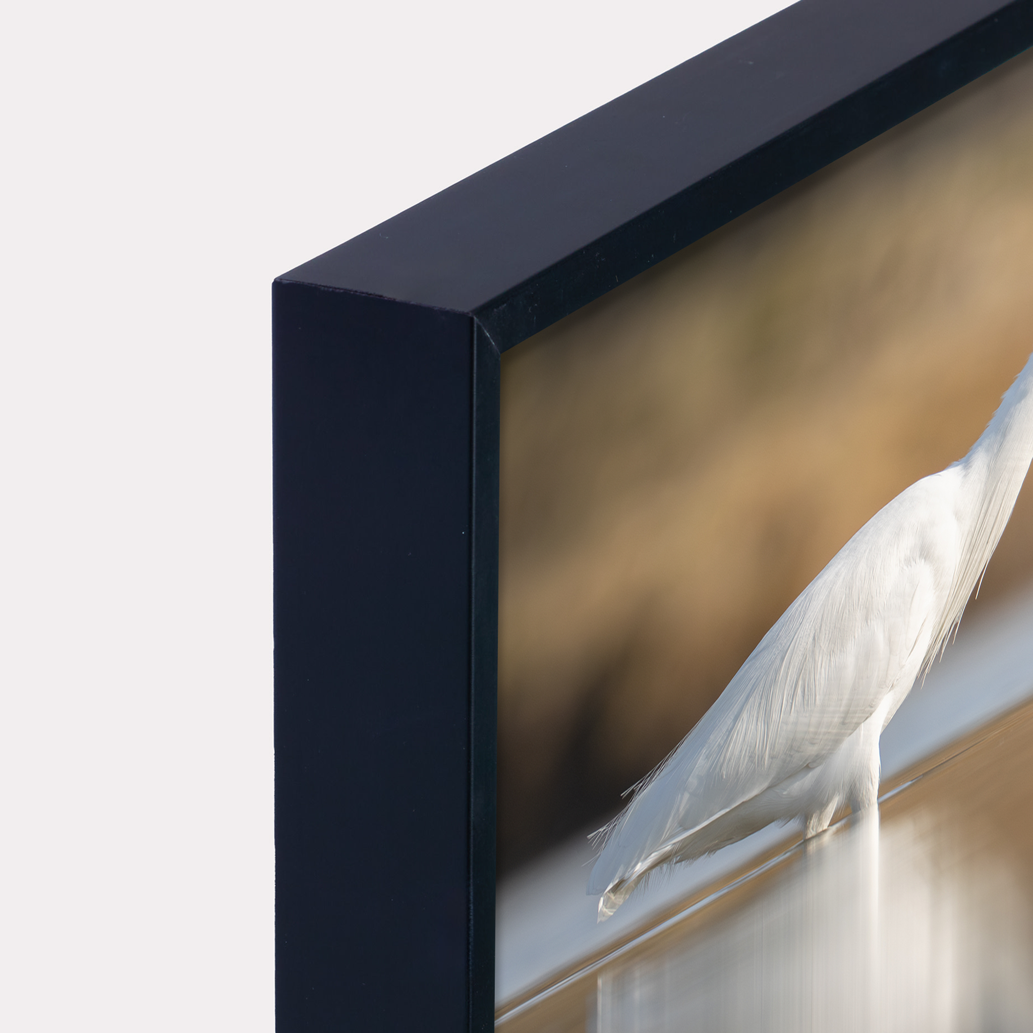 Canvas 'Kleine zilverreiger vangt vis'