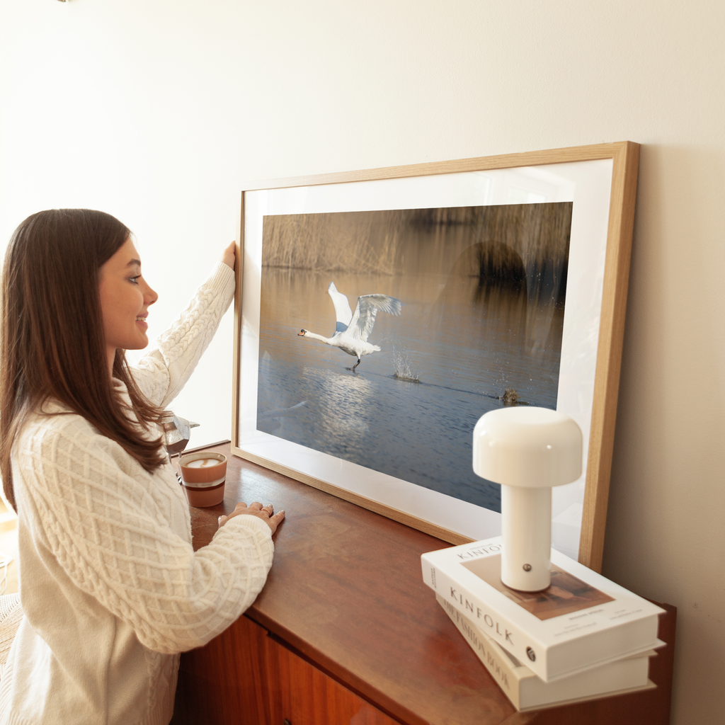 Print 'Opvliegende zwaan'