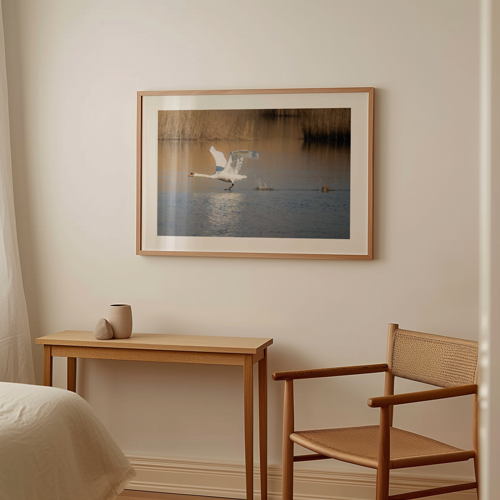 Print 'Opvliegende zwaan'