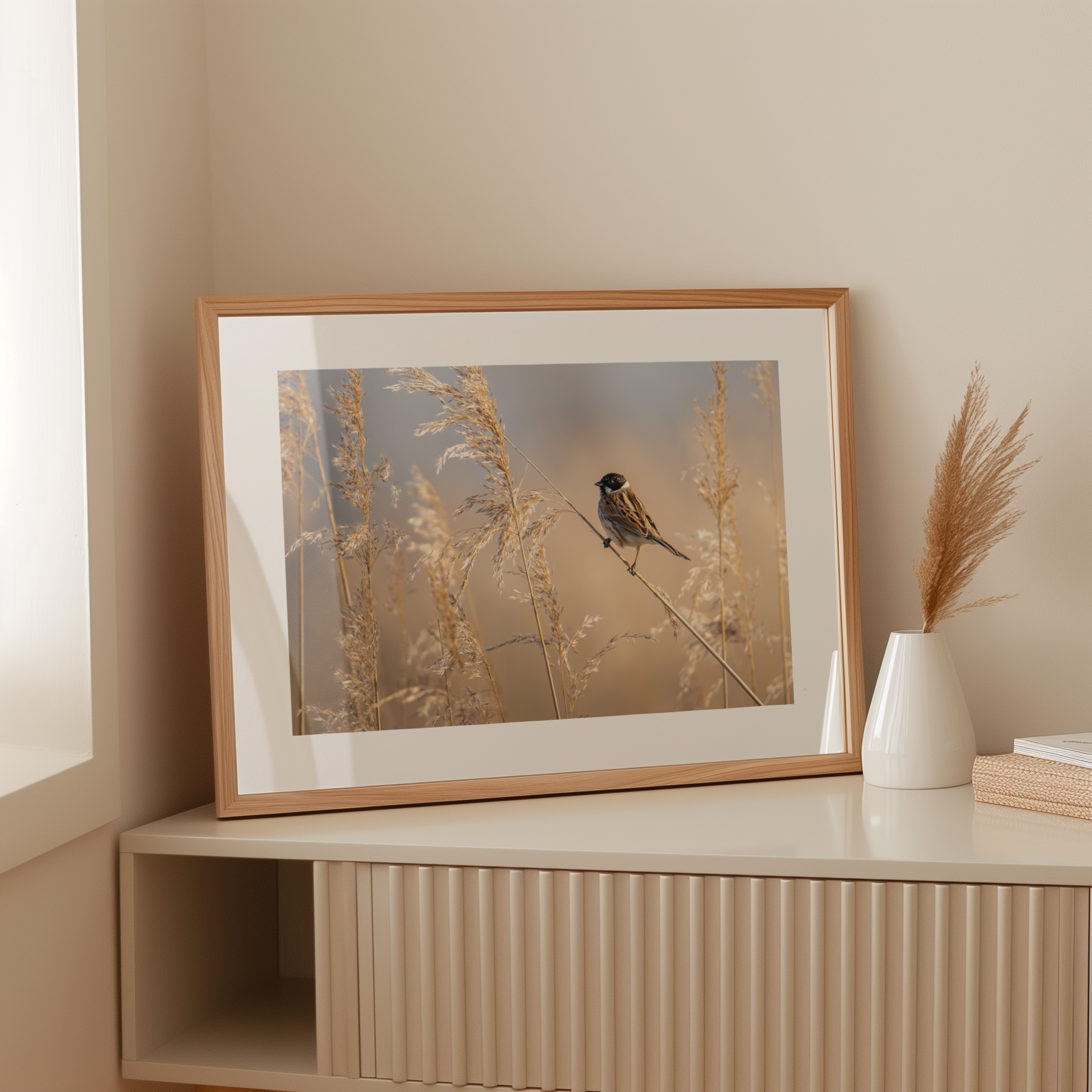 Print 'Rietgors boven het rietveld'