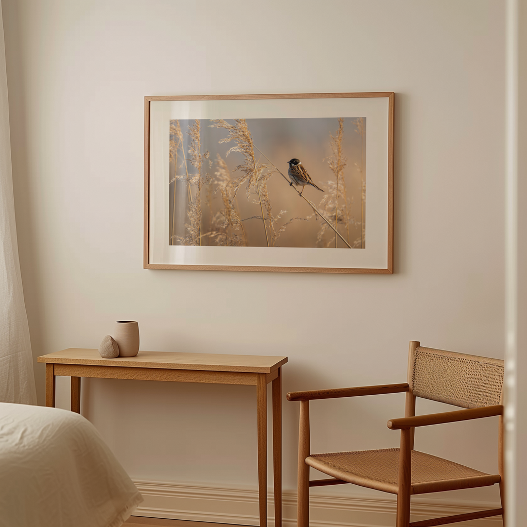 Print 'Rietgors boven het rietveld'