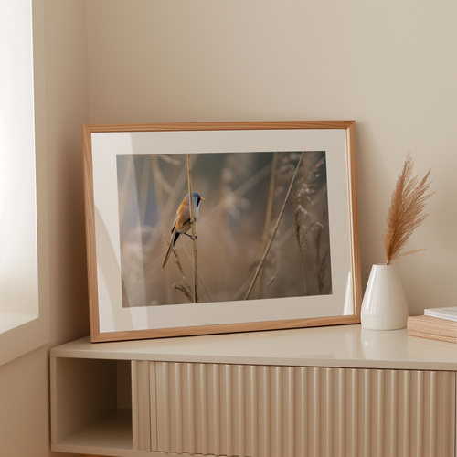 Natuurprint ‘Baardman in het riet’ als wanddecoratie in een interieur