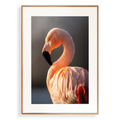 Print 'Flamingo in de zon - portret'