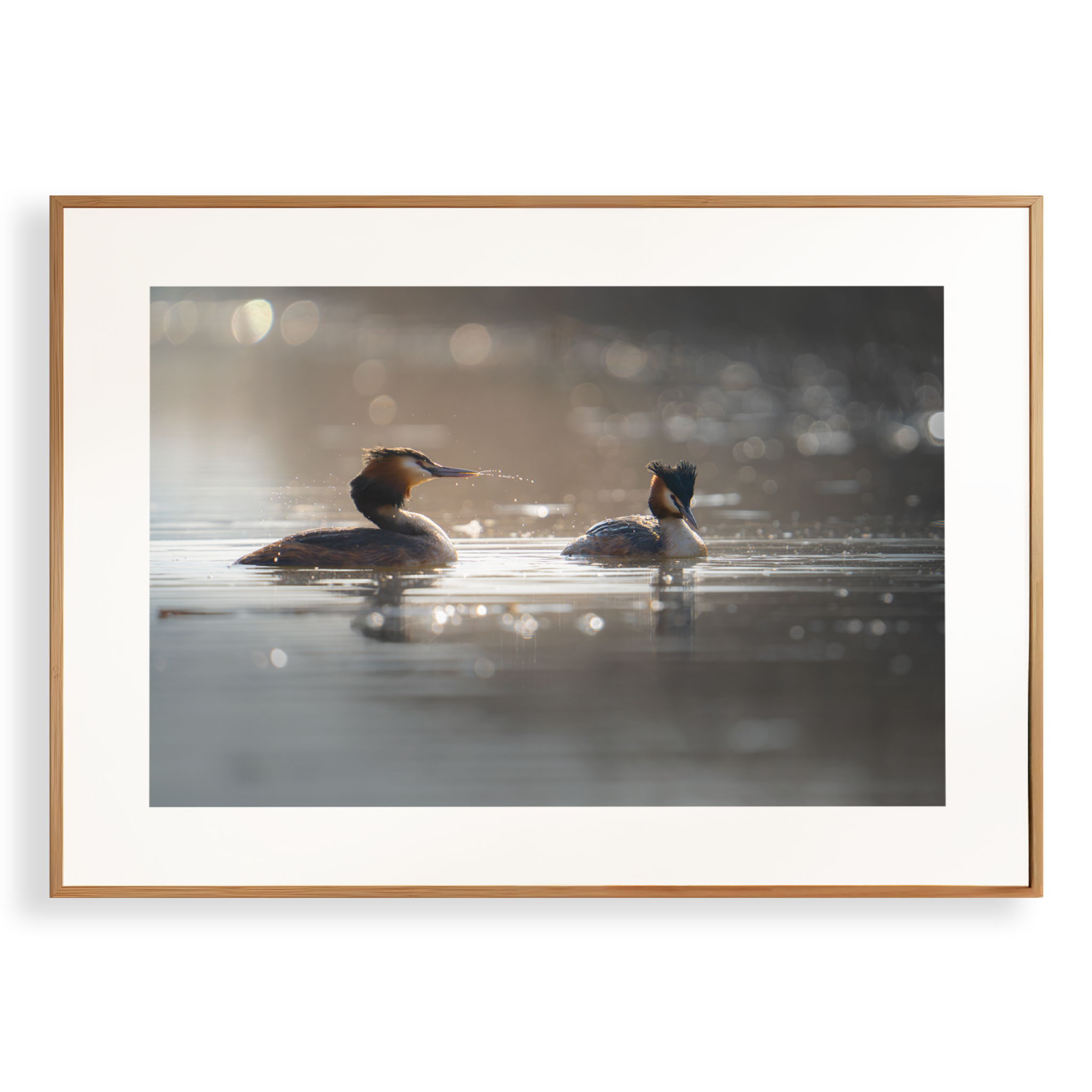 Print 'Fuuten in harmonie'