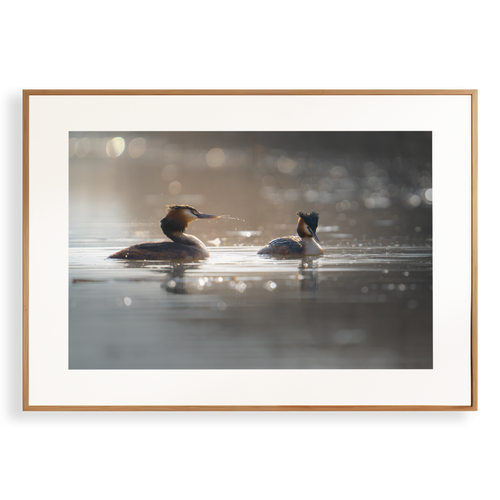 Natuurprint ‘Fuuten in harmonie’ als wanddecoratie in een interieur