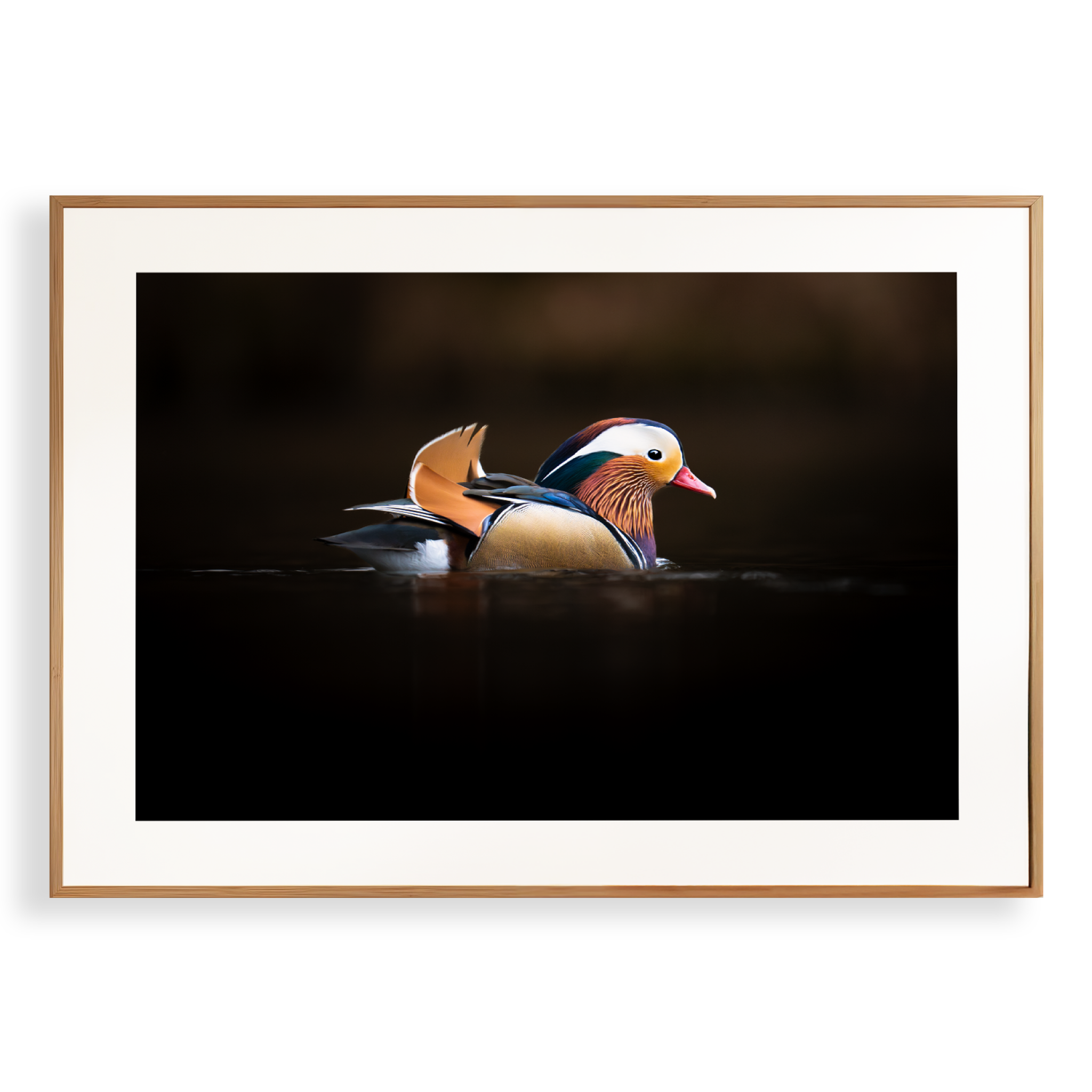 Print 'Mandarijneend in het avondlicht'