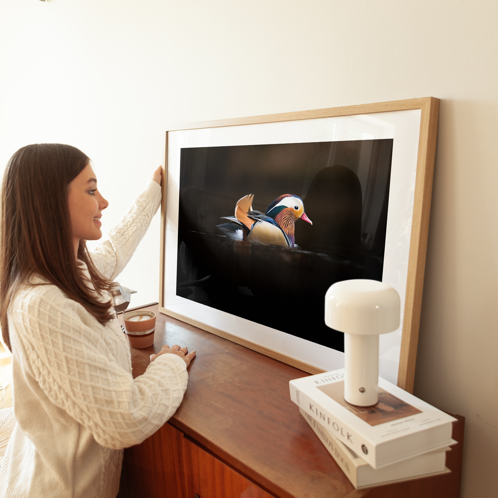 Print 'Mandarijneend in het avondlicht'