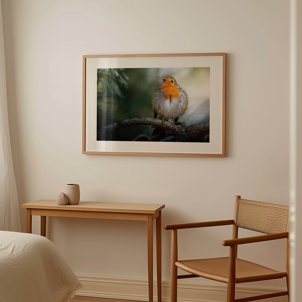 Print 'Roodborst rust uit op tak'