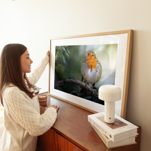 Natuurprint ‘Roodborst rust uit op tak’ als wanddecoratie in een interieur