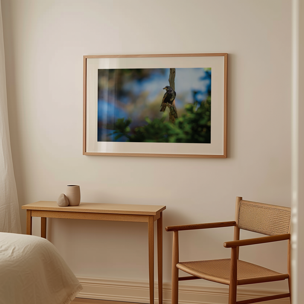 Print 'Spreeuw eet zijn maaltijd'