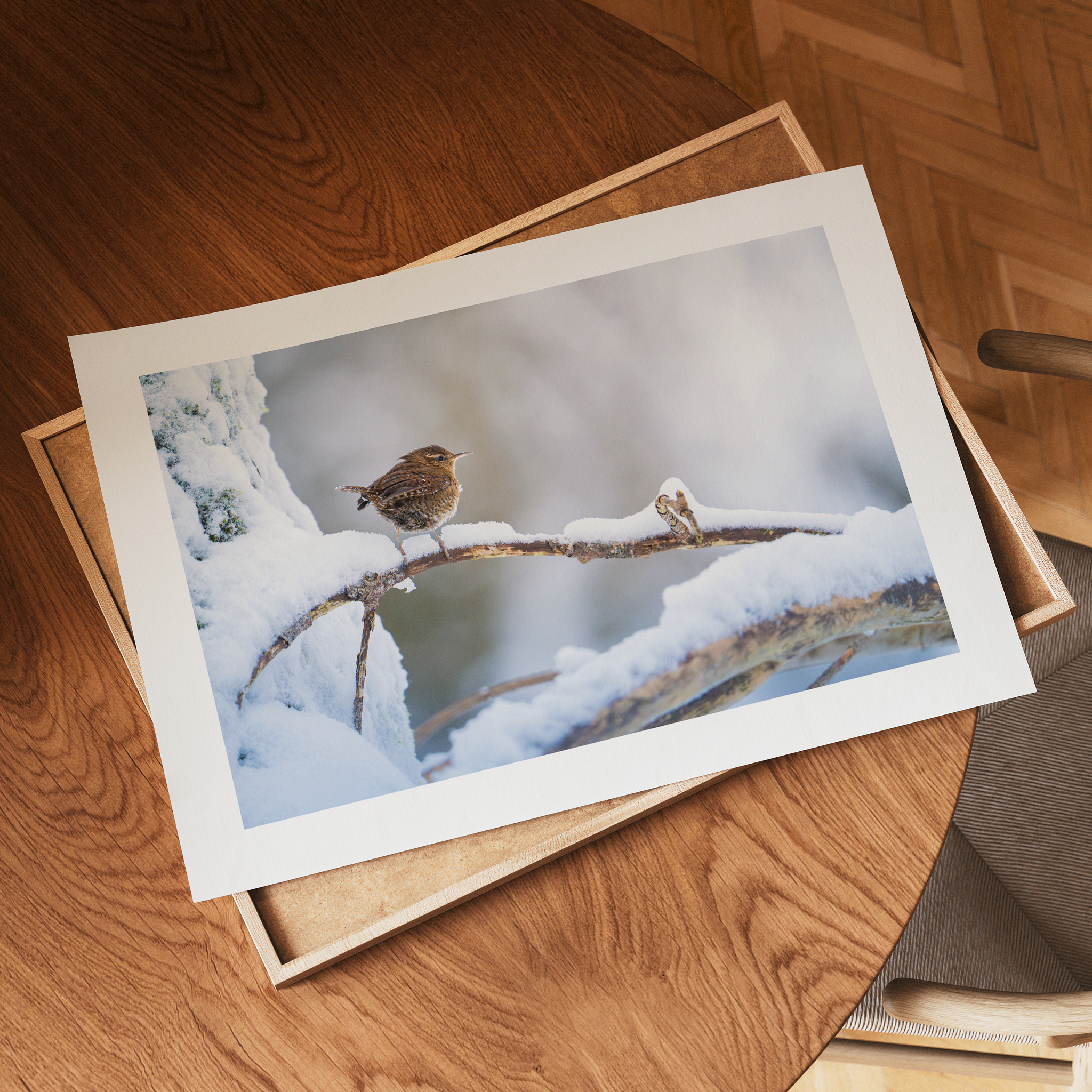 Print 'Winterkoninkje in de sneeuw'