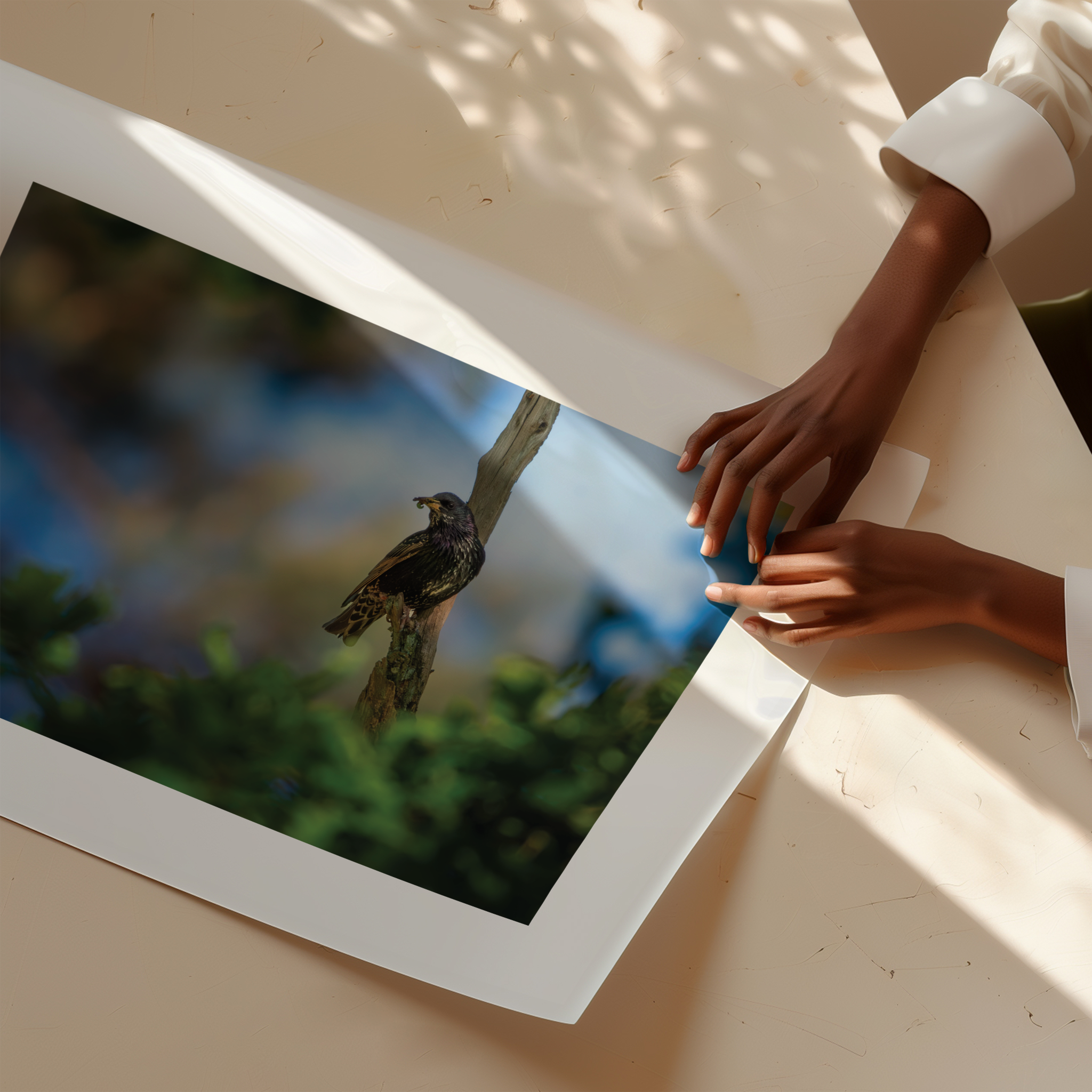 Print 'Spreeuw eet zijn maaltijd'