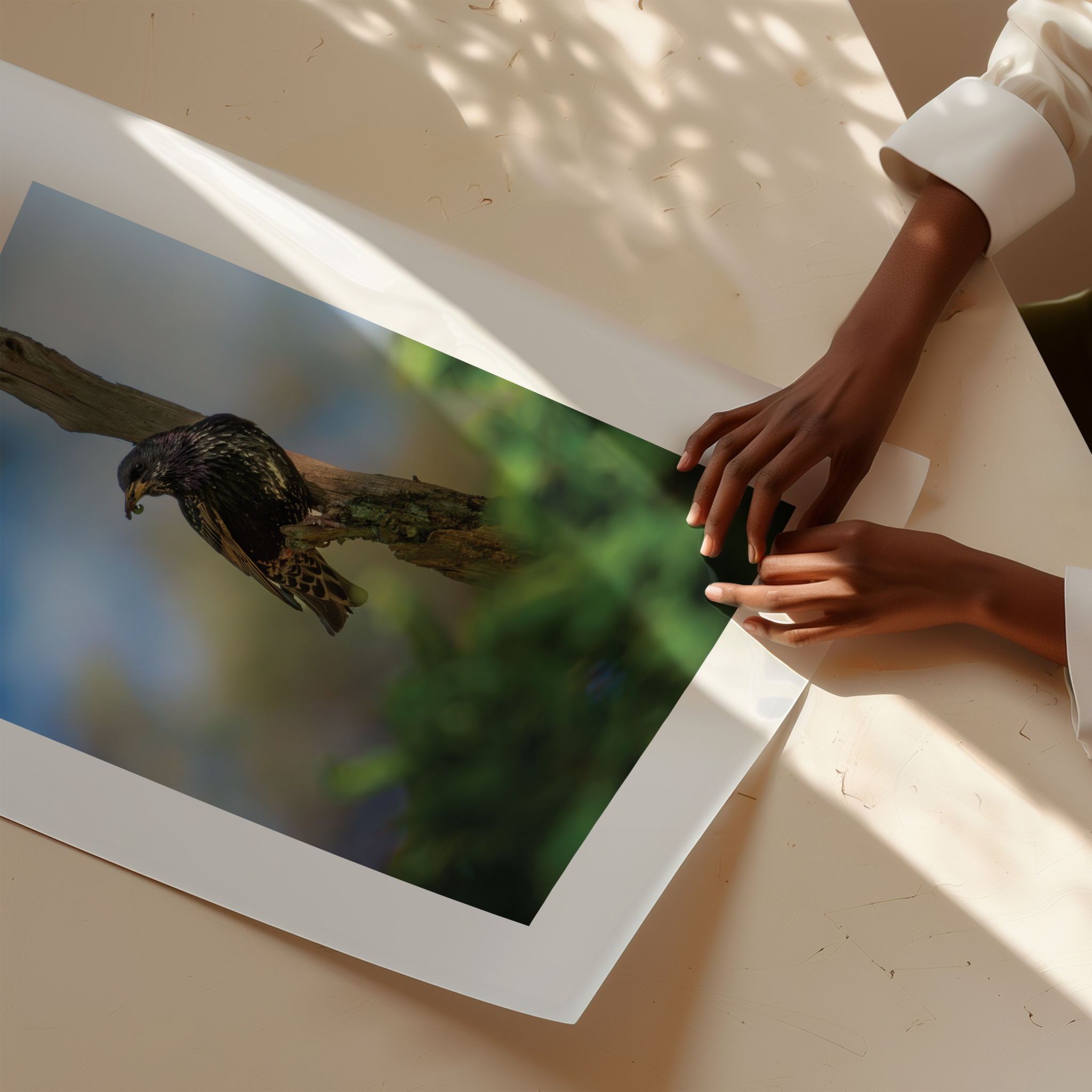 Print 'Spreeuw eet zijn maaltijd - portret'