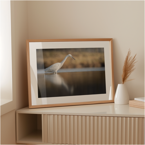 Natuurprint ‘Kleine zilverreiger vangt zijn vis – liggend’ als wanddecoratie in een interieur
