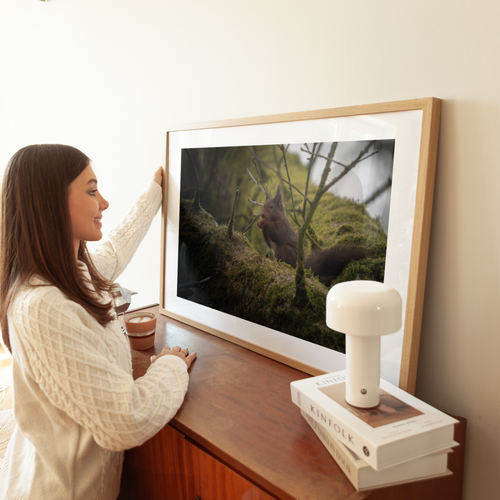 Natuurprint ‘Alerte eekhoorn’ als wanddecoratie in een interieur