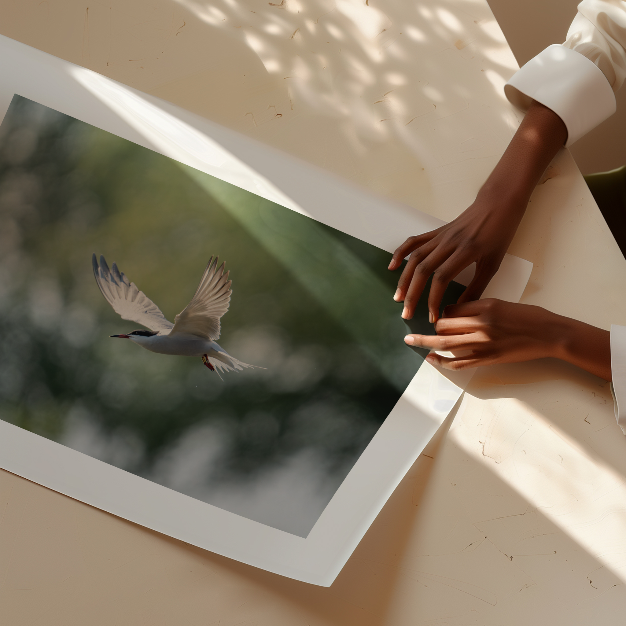 Print 'Duikende visdief'