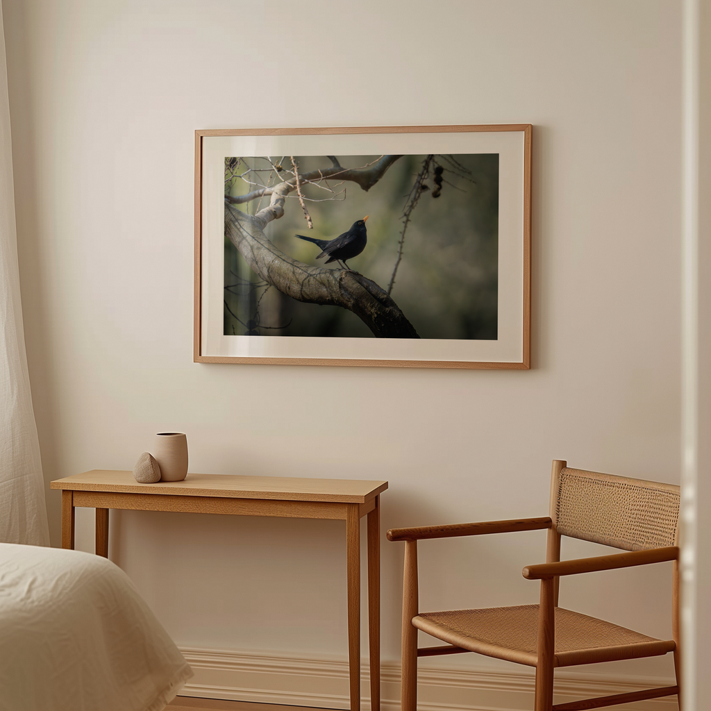 Print 'Dansende merel'