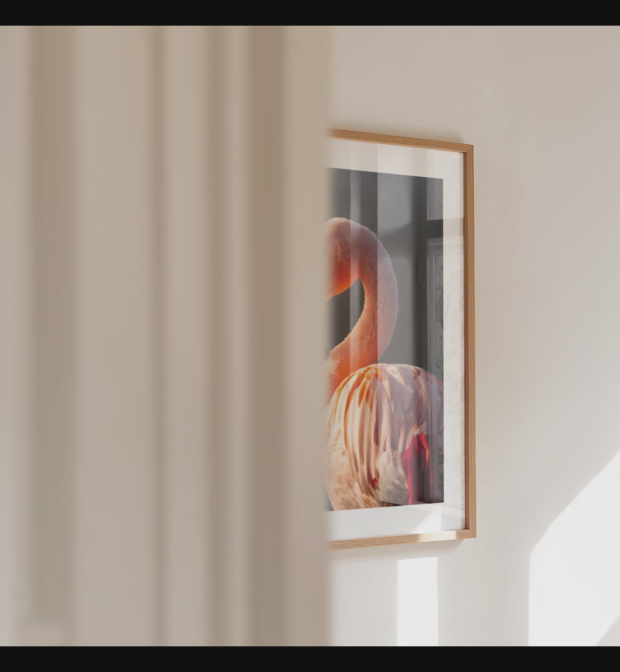 Print 'Flamingo in de zon - portret'