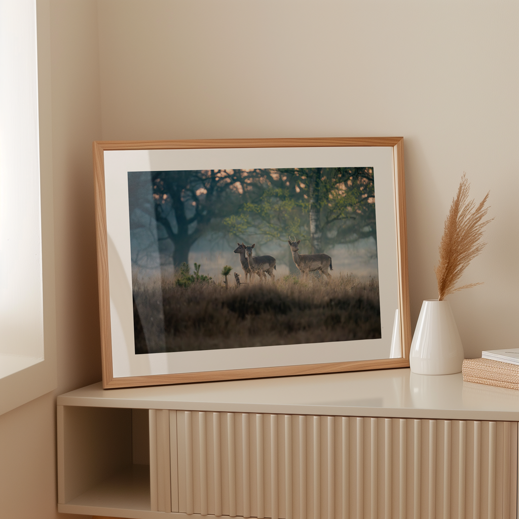 Print 'Reeën in het ochtendlicht'