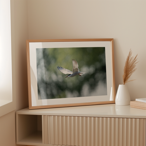Natuurprint ‘Duikende visdief’ als wanddecoratie in een interieur